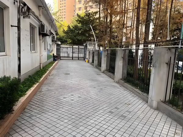 恶魔惹上毒玫瑰