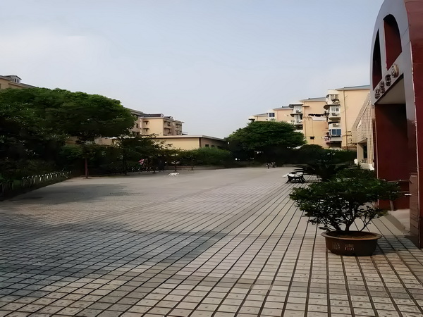 杀手王爷的鸟妃